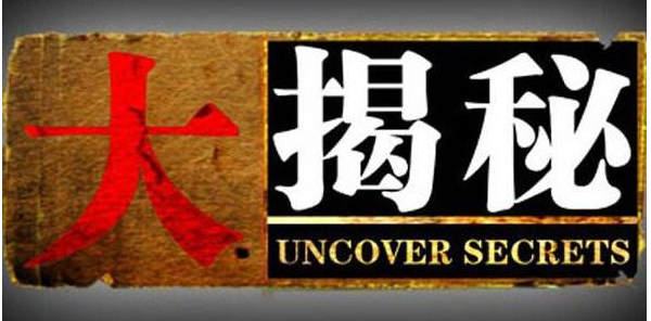 包含飞机软件偏门生意项目大全的词条