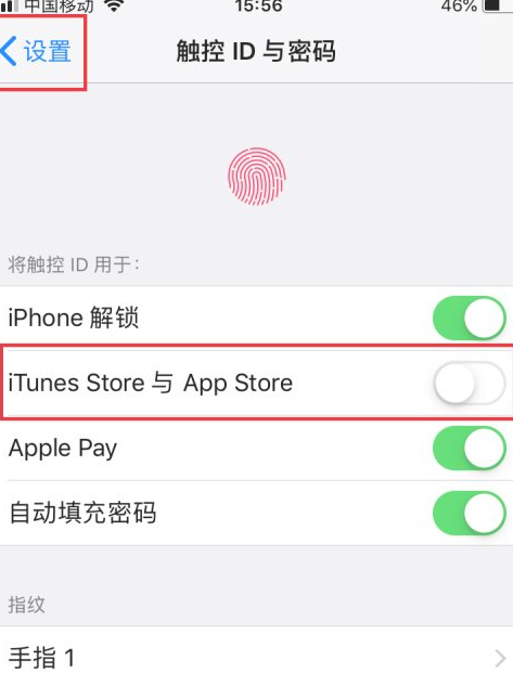 苹果手机无法下载网页app-苹果手机无法下载网页上的应用
