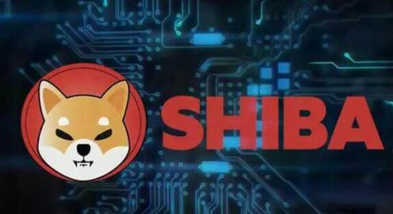 im钱包怎么添加狗狗币-imtoken怎么存狗狗币