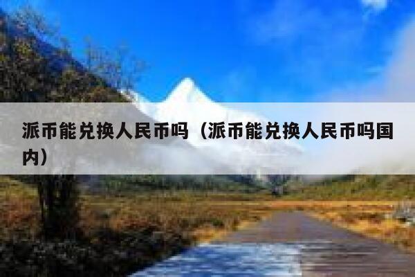 国家对派币的新政策-国家对派币的新政策派由那西金行对接