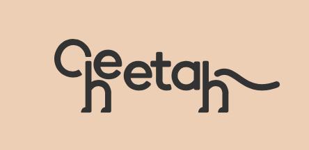 cheetah加速器官网-acceledent加速器