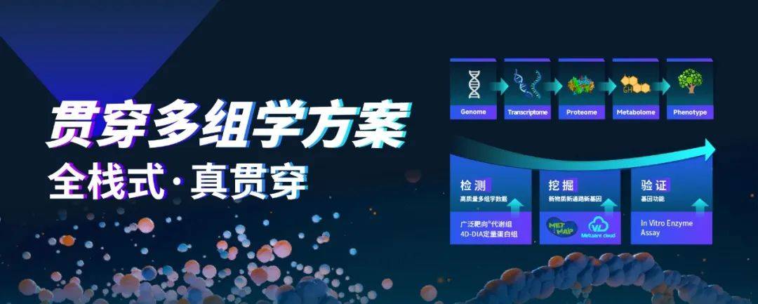 temporal能量的简单介绍