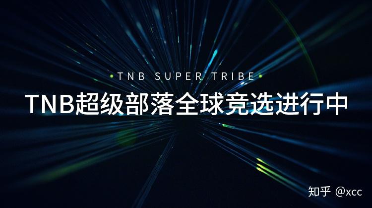虚拟币tnb-虚拟币被骗了能不能报案