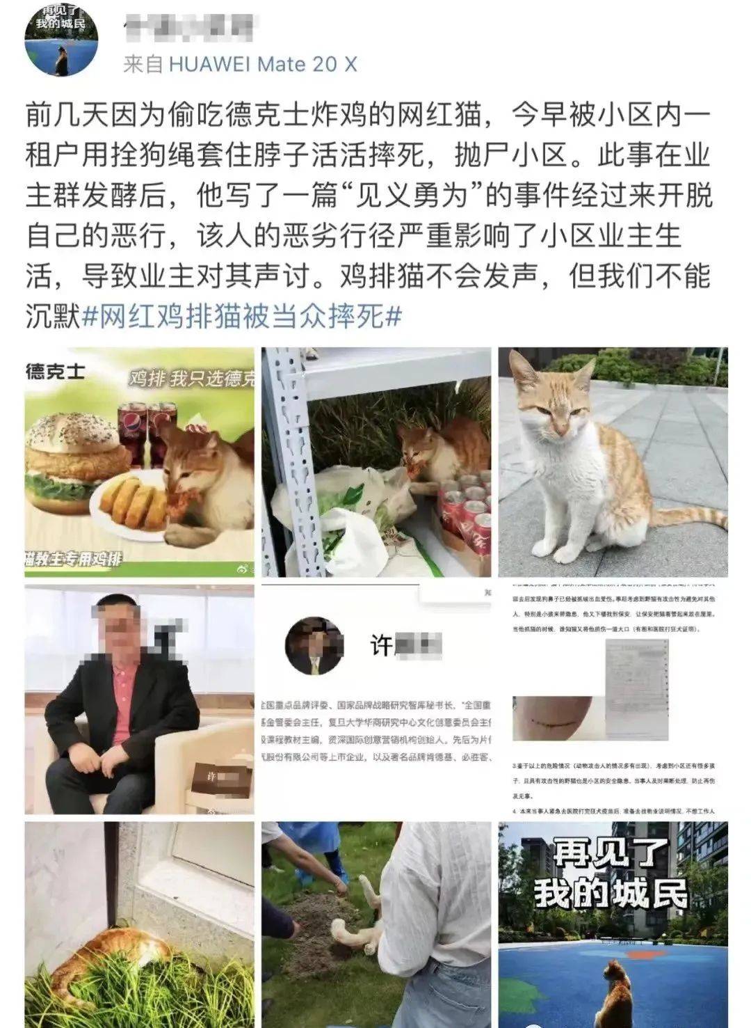 从哪看电报猴原声的简单介绍