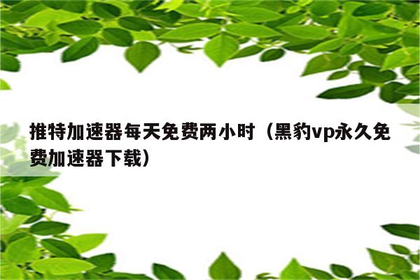 黑豹vp(永久免费加速器下载-黑豹vp永久免费加速器下载是什么