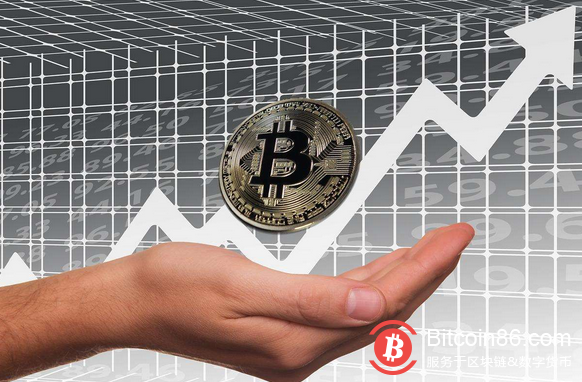 bitpay安卓-bitpay怎么下载