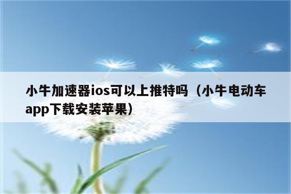 小牛加速器正版-小牛加速器正版下载安装