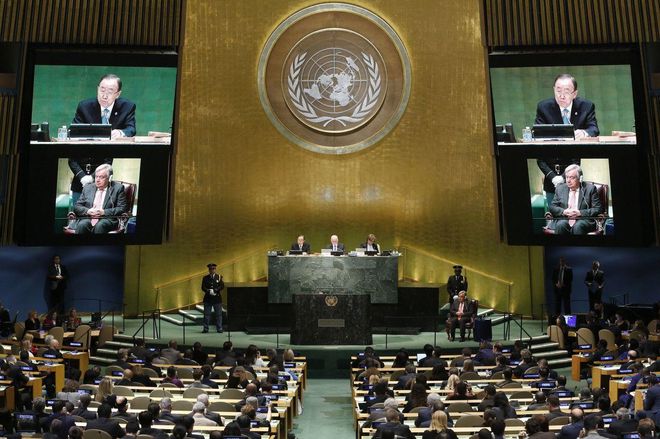 联合国反纳粹决议-联合国反纳粹决议的票型