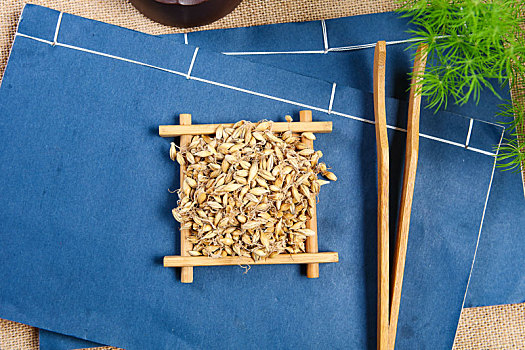 麦芽下载-下载麦芽app