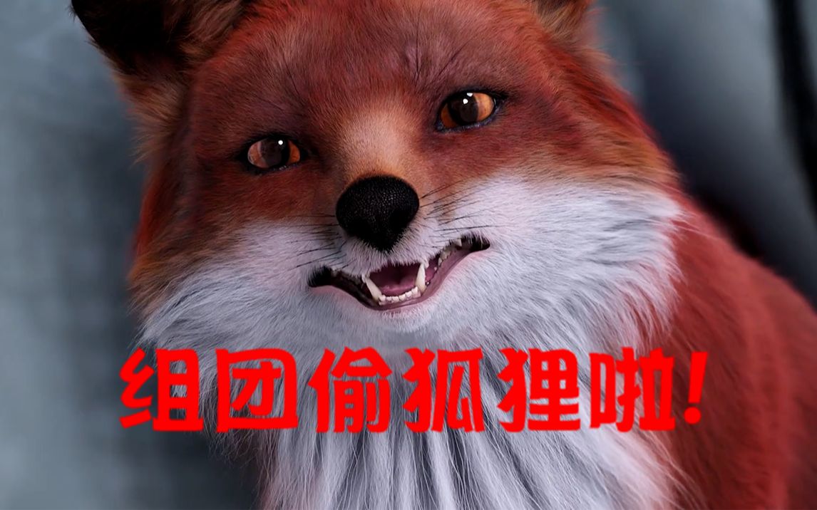 狐狸偷东西吗-狐狸偷东西300字左右