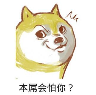 doge-狗狗币今天的最新价格