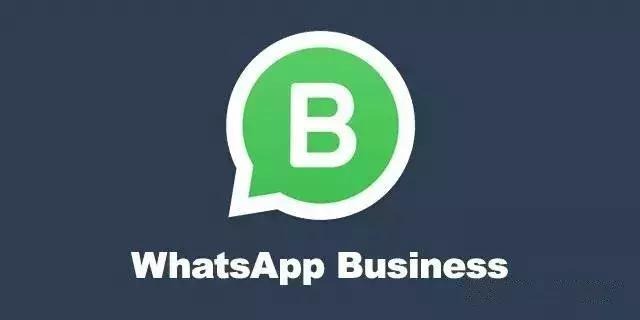 whatsapp官网-whatsapp官网下载安装最新版本