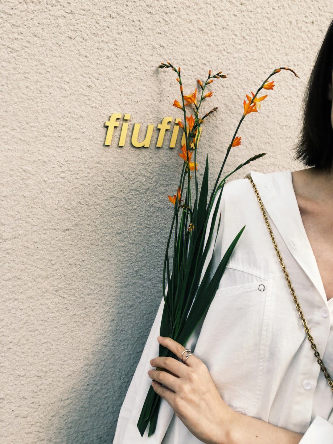FITFIUSTD永续委托-final无法识别dtd版本