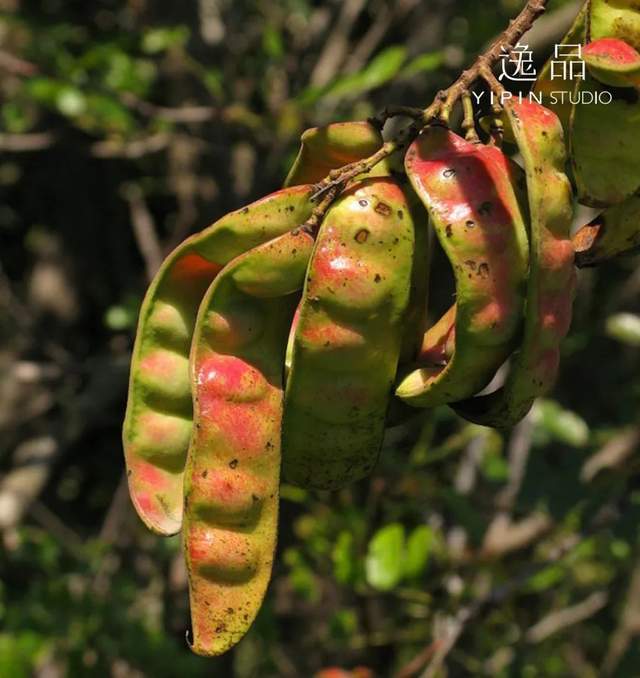 tp钱包转账未激活-tp钱包转账转到了合约地址