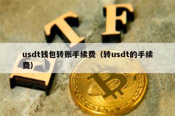 usdt钱包都有哪些-usdt一般用什么钱包