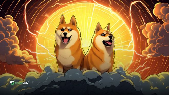 柴犬币暴涨28万倍-柴犬币2026年底能涨到多少