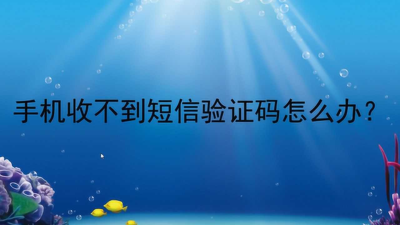 飞行卡收不到验证码-飞行卡收不到验证码怎么解决
