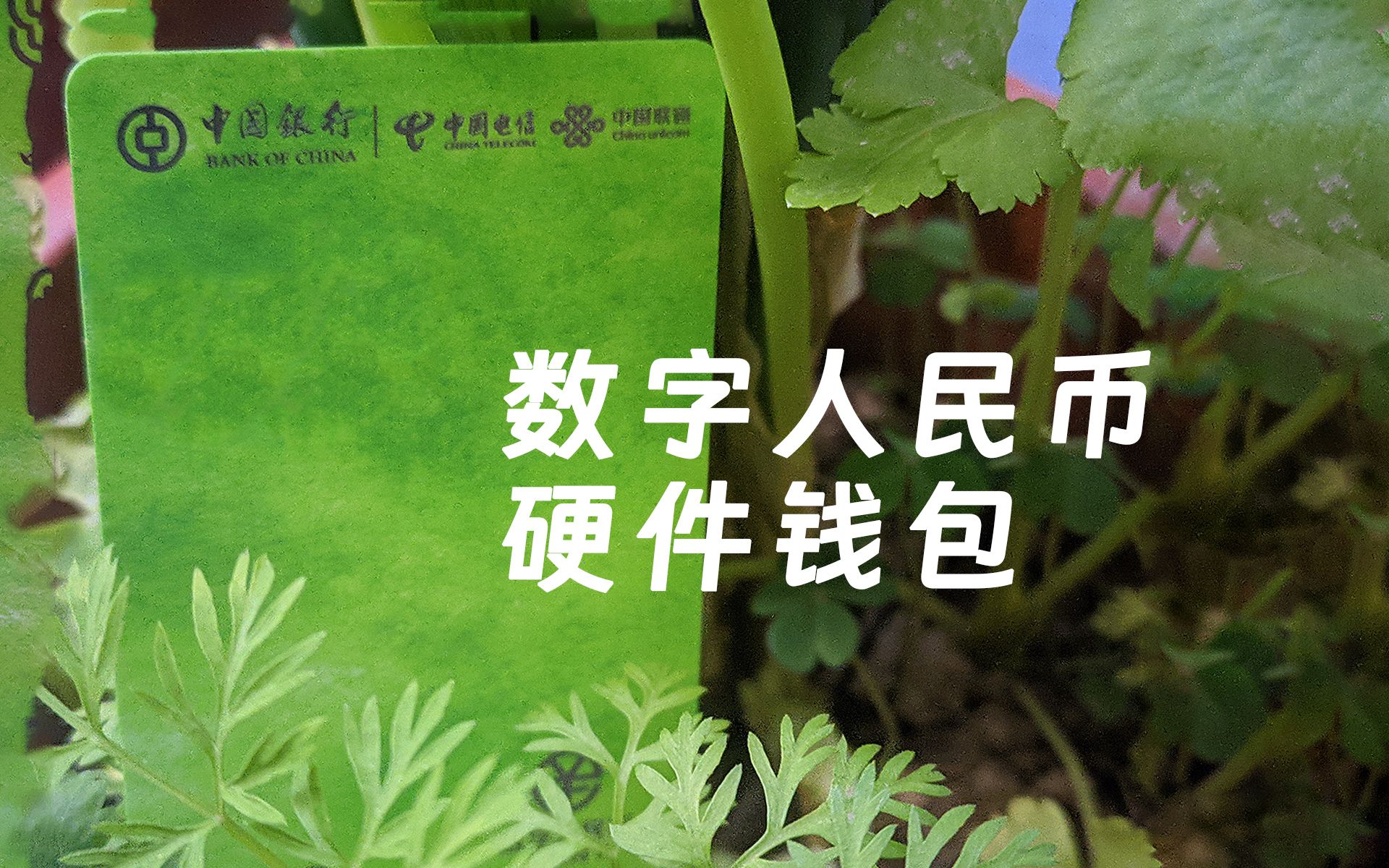 数字人民币app官方下载-数字人民币app官方下载数字人民币钱包