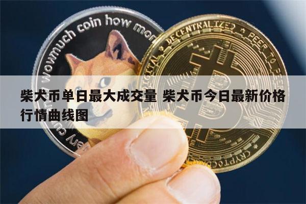 狗币的今日价格-狗币的今日价格行情