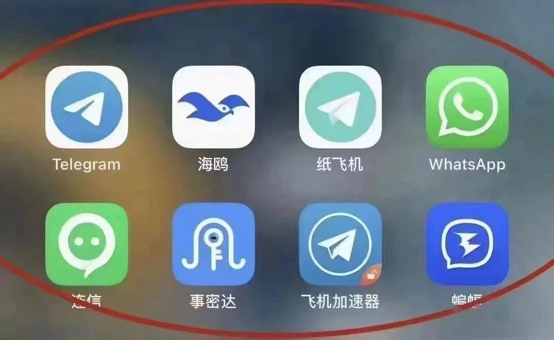 包含纸飞机telegeram加速器官网版下载的词条