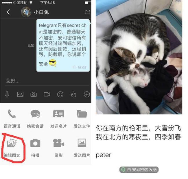 关于telegraphappdownload的信息
