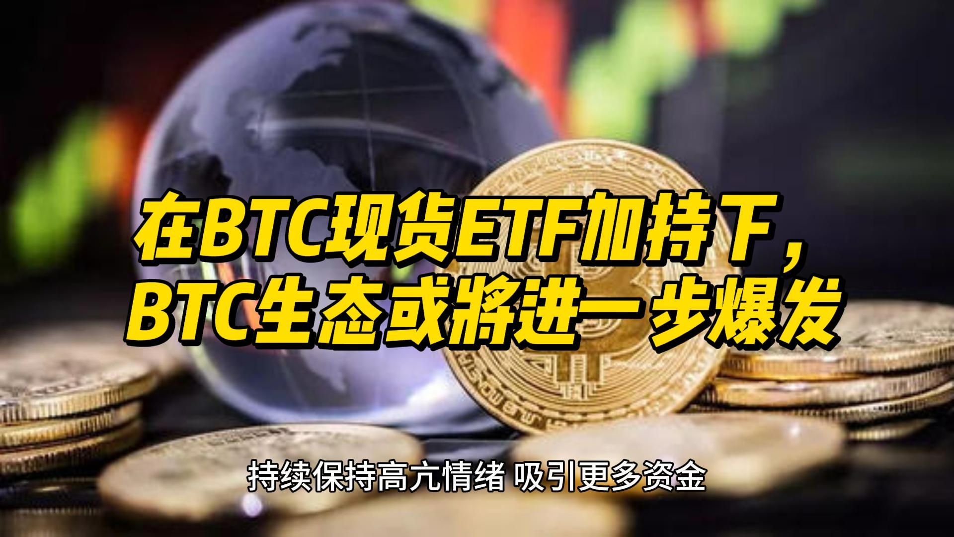 btcetf-etf查询官网