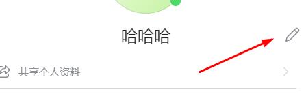 skype是啥意思人名-skype是男名还是女名