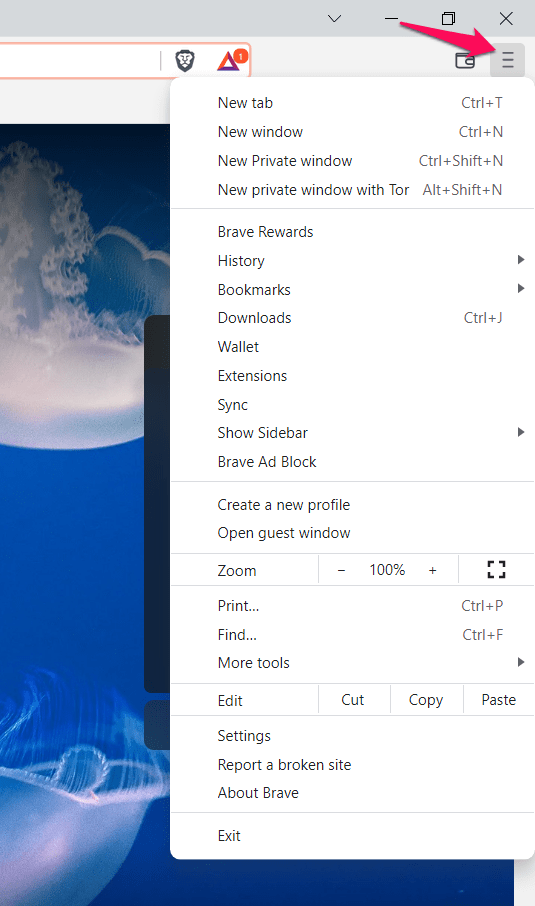 brave浏览器下载-brave浏览器下载量