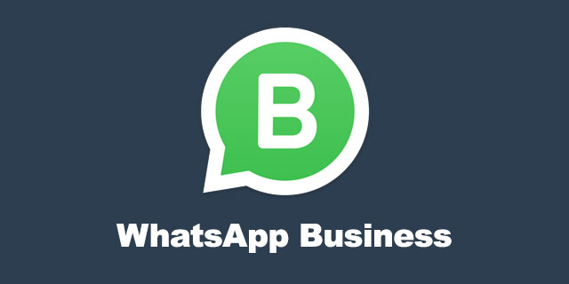 whatsapp最新版本下载2024-whatsapp最新版本下载2024安卓安装包