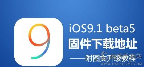 9.1下载安装-910346