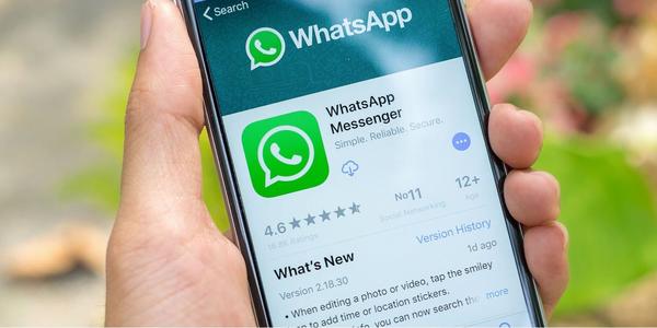 为什么whatsapp下载了打不开-下载了whatsapp,为什么用不了