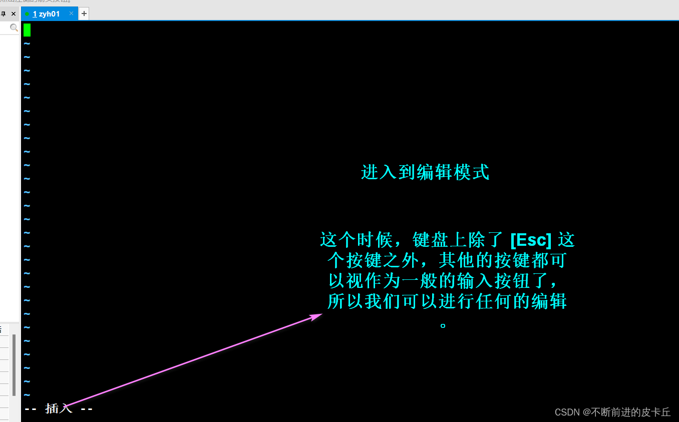 纸飞机中文包代码-纸飞机中文包ch_zh