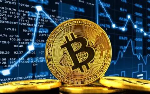 币王交易所官网-币王交易所官网app下载