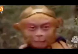 电报猴动态表情包的简单介绍