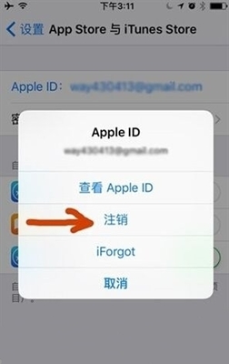 苹果手机的纸飞机怎么设置中文版-苹果手机纸飞机怎么设置中文版教程