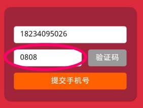 飞机号收不到验证码怎么登陆-飞机号收不到验证码怎么登陆不了
