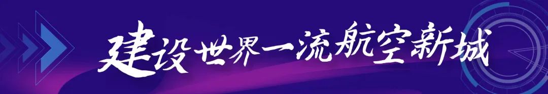 纸飞机语音包链接-纸飞机安装zh_cn语言包
