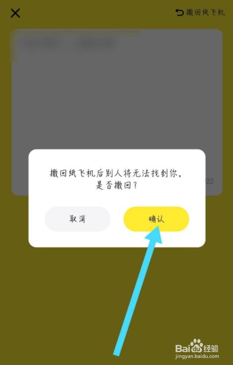 纸飞机软件怎么设置中文-telegreat苹果怎么改中文版