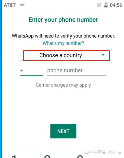 包含whatsapp中文叫什么软件的词条