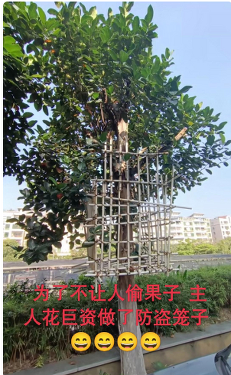 求梯子贴吧_梯子百度贴吧