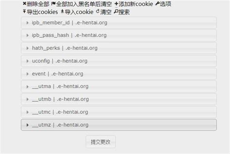 电脑搭梯子是什么意思_电脑搭梯子比较好的软件