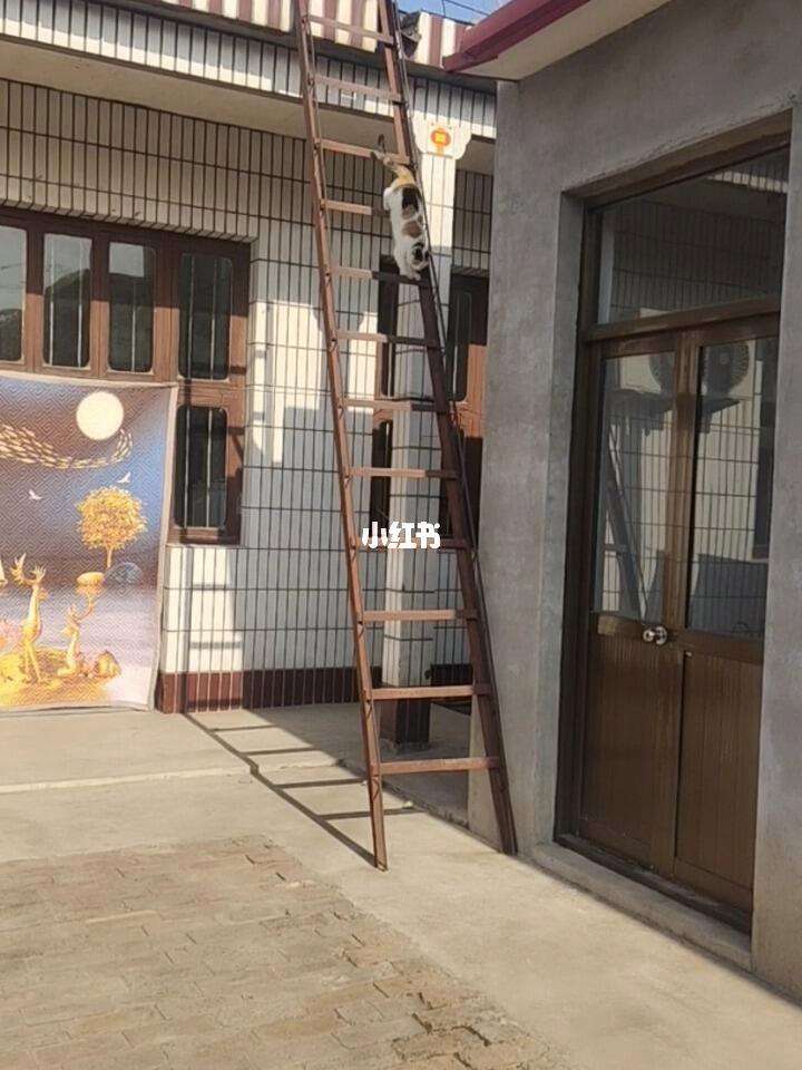 农村上房梯子_农村上房梯子怎么做