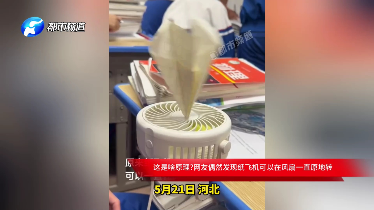 纸飞机怎么转换中文版_纸飞机怎么弄成中文版的