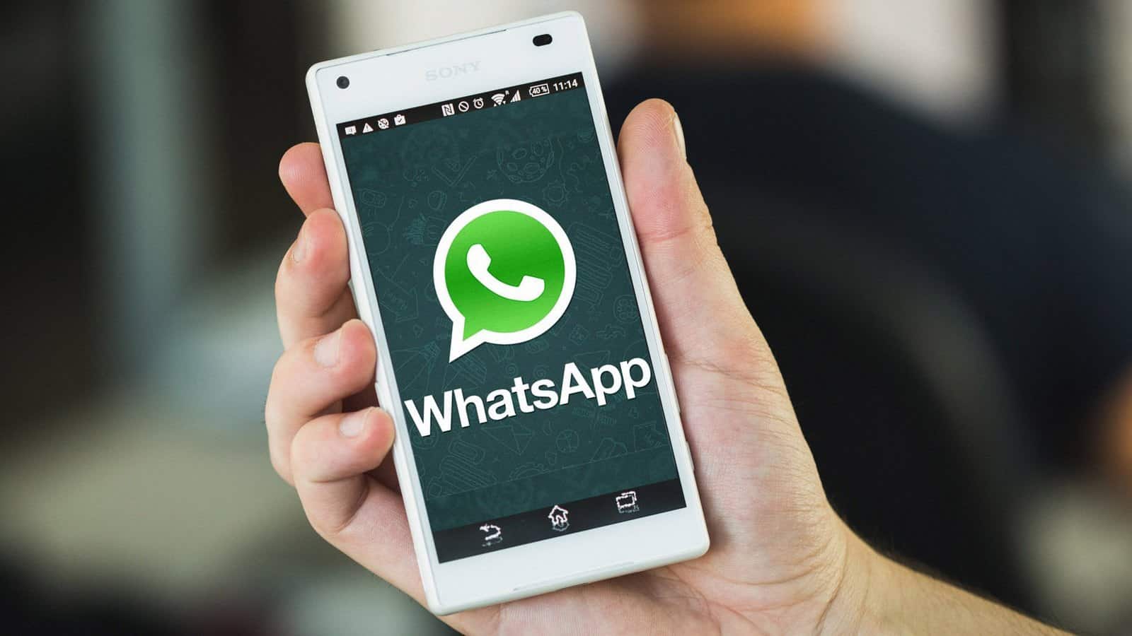 whatsapp免费破解版_whatsapp破解版百度云