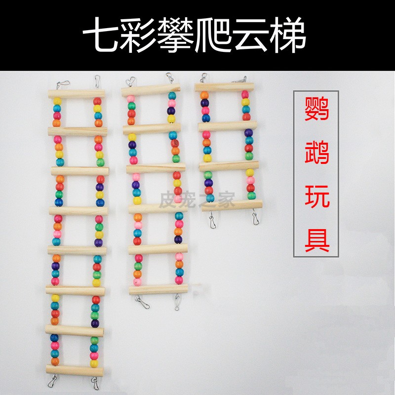 关于梯子游戏在哪个平台玩靠谱的信息