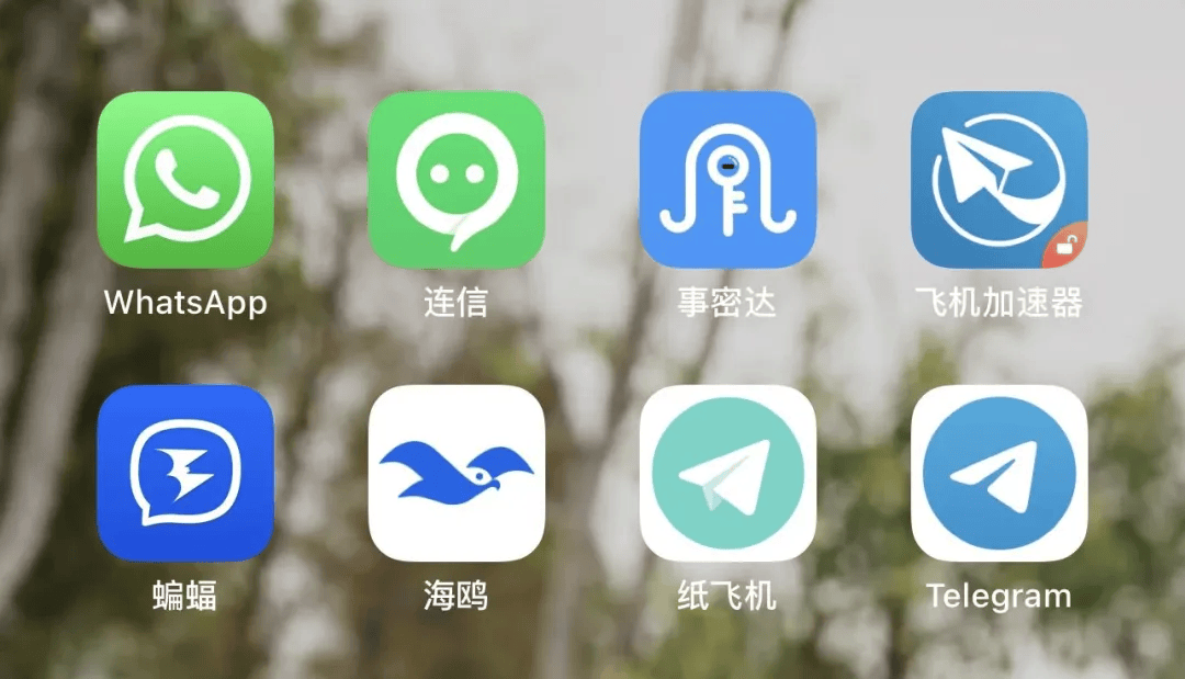 纸飞机社交_纸飞机社交软件是谁发明的