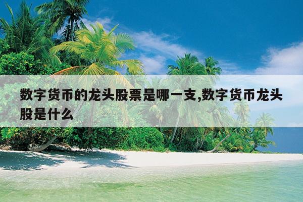 数字货币的股票龙头有哪些_数字货币的股票龙头有哪些股