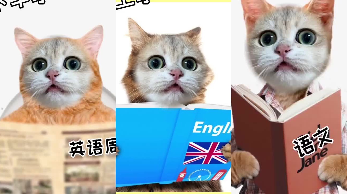 ane交易所app_antcoin交易所
