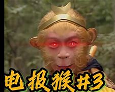 猴子电报员字幕_猴子发电报原视频
