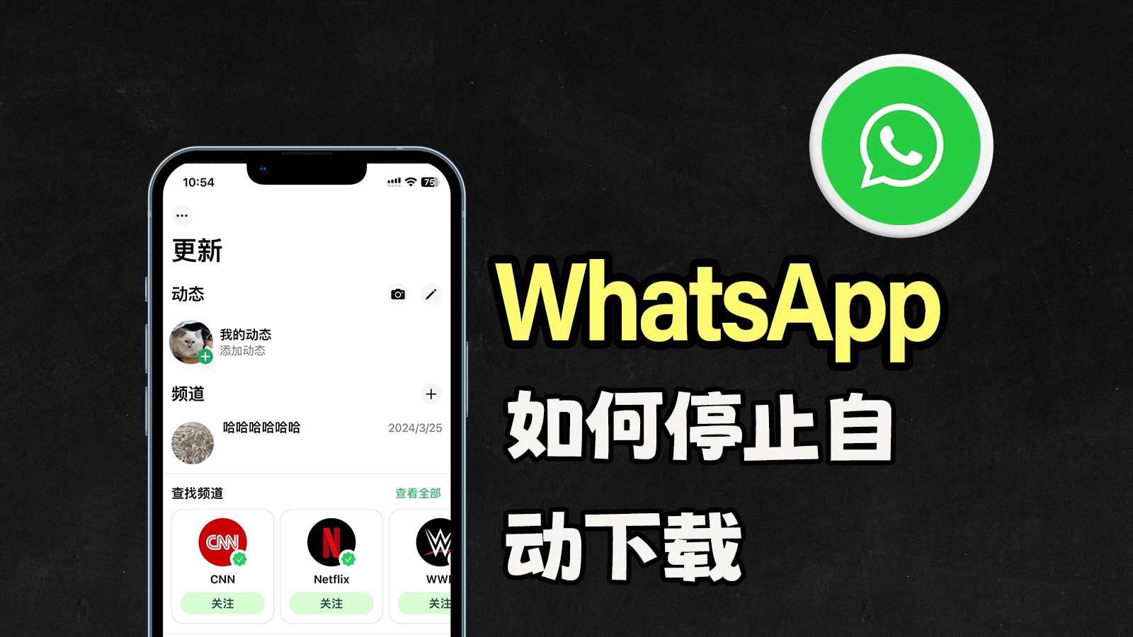 whatsapp下载安卓最新版本_whatsapp下载安卓最新版本 2023